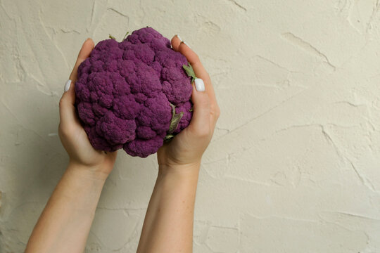 Fresh ripe purple cauliflower in woman hands. Healthy food on grey concrete background.