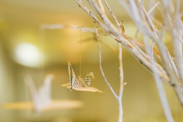Closeup shot of a paper crane hanging on a branch as decoration