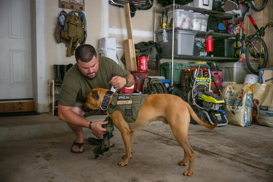 Marine veteran with service dog and family living life.