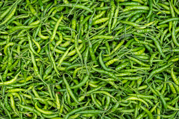 Green chili background spices The spicy full flame
