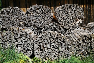 A large amount of firewood under a blue sky