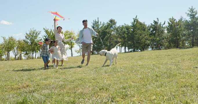 Happy family running with kite on meadow,4K