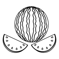 Watermelon icon on a white background, vector illustration