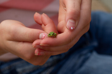 person holding a tiny frog