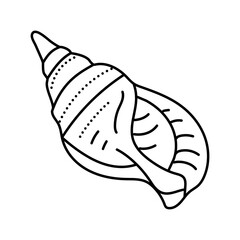 snail sea shell beach line icon vector illustration