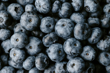 blueberries close up