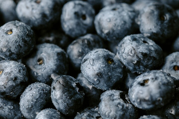 blueberries on a white background