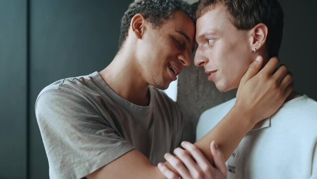 Pretty multinational gay couple talking at home