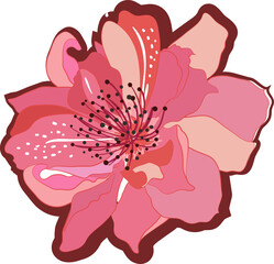 Blooming garden floral hand drawn Illustration elements