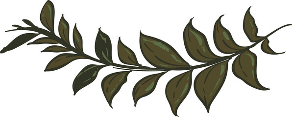 Fototapeta premium Hand drawn Botanical meadow flower and leaves illustrations