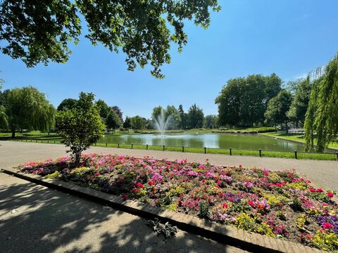 Beautiful garden in the Sittard, Netherlands on a sunny day