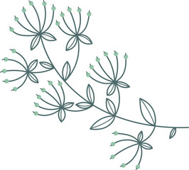 Hand drawn botany. Decorative floral print element