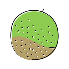 melon green cantaloupe color icon vector illustration