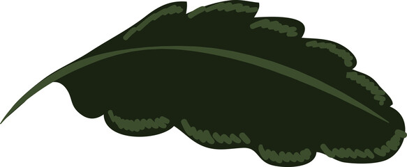 Hand drawn Botanical meadow flower and leaves illustrations