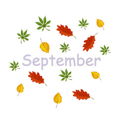 September icon, autumn concept, vector illustration