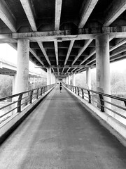Fototapeta premium black and white architecture trees dramatic art