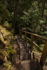 Fototapeta premium Hiking track to Sicamous Creek Falls in British Columbia,Canada,North America 