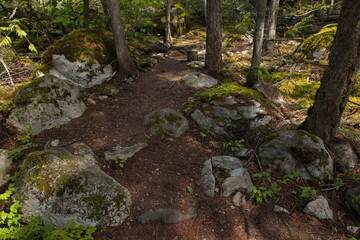 Hiking trail to Sicamous Creek Falls in British Columbia,Canada,North America
