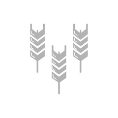 wheat icon on a white background, vector illustration