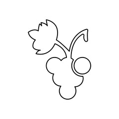 grapes icon on a white background, vector illustration