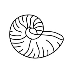 nautilus sea shell beach line icon vector illustration