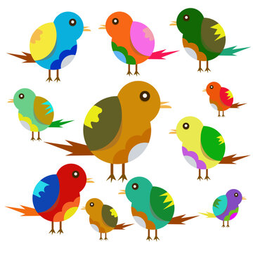 Cute Birds, Colorful birds, editable birds illustration, Funny birds 