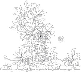 Funny exotic Philippine tarsier on a small tropical tree in an open-air cage of a zoological garden, black and white vector cartoon illustration for a coloring book page