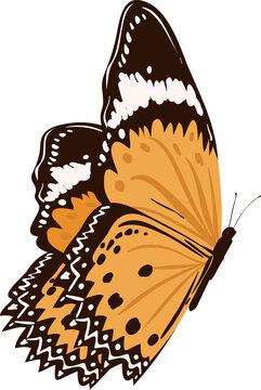 orange butterfly with black spots clip art preview