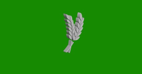 Isolated realistic white wheat symbol front view with shadow. 3d illustration on green chroma key background