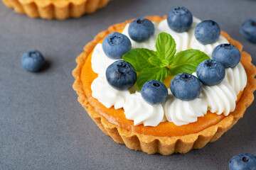 Creamy cheesecake cake with blueberry on a gray table