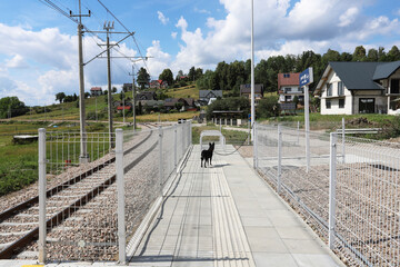 Fototapeta na wymiar RABKA-ZDROJ, POLAND - JULY 09, 2022: A train platform in the vicinity of Rabka Zdroj.