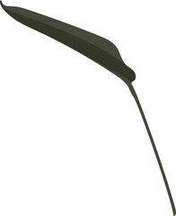 Hand drawn Troical leaves illustrations element PNG file