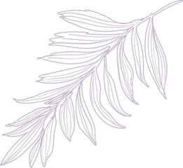 Hand drawn Troical leaves illustrations element PNG file