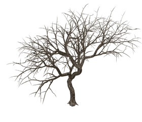3D render of a gnarly tree no leaves illustration