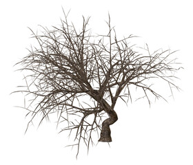 3D render of a gnarly tree no leaves illustration 4