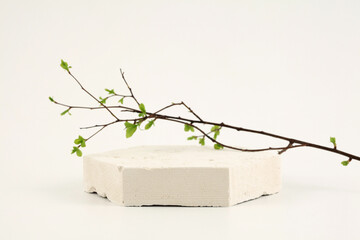 Empty texture stone gypsum platform eco podium and leaf twig on beige copy space background....