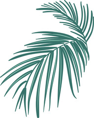 Hand drawn Tropical leaves illustrations element PNG file