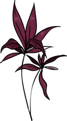 Hand drawn Tropical leaves illustrations element PNG file