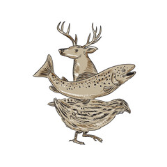 Deer Trout Quail Drawing
