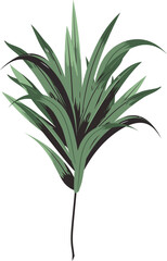 Fototapeta premium Hand drawn Tropical leaves illustrations element PNG file