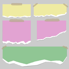 Torn of pink,green and yellow note, notebook paper strips, pieces stuck on grey background. Vector illustration.
