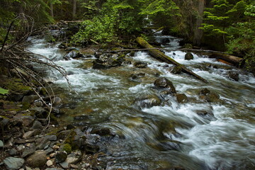 Fototapeta na wymiar Hiuihill Creek at Flume Trail in Tsutswecw Roderick Haig Brown Provincial Park in British Columbia,Canada,North America 
