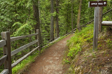 Flume Trail in Tsutswecw Roderick Haig Brown Provincial Park in British Columbia,Canada,North...