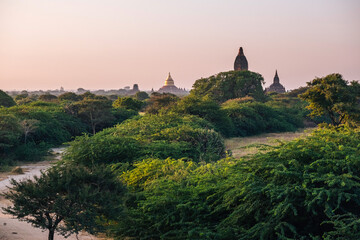 Stupas au milieu d'une végétation luxuriante, Bagan, Myanmar.