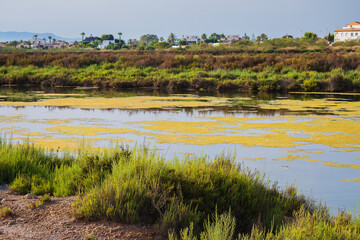 Cityscape of the Pink Lagoon of Torrevieja and its Salt Mines (Alicante, Spain)