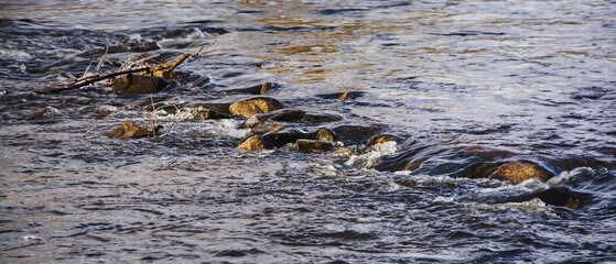 stones over which water flows in the river
