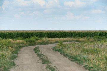 Fototapeta na wymiar Country road background cornfields and sky.