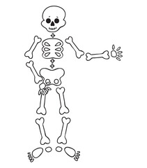 Funny cartoon dancing skeleton. Cute graphics for Halloween. Resume isolated illustration on white background.