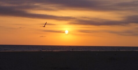 sunset on the beach Conil C&aacute;diz Spain
13/08/2022