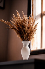 wheat in a vase